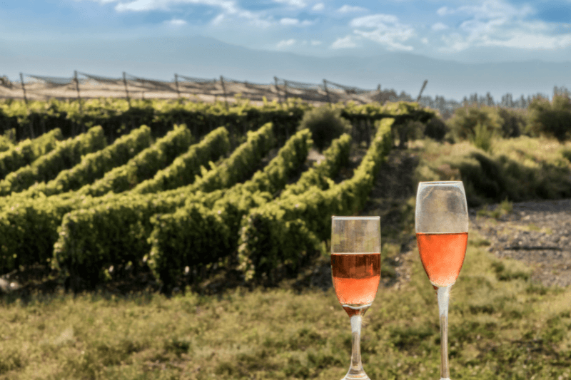 https://www.californiachampagnesabers.com/wp-content/uploads/2026/05/Rose-Champagne-glasses-overlooking-vineyard-rows-in-the-countryside.png